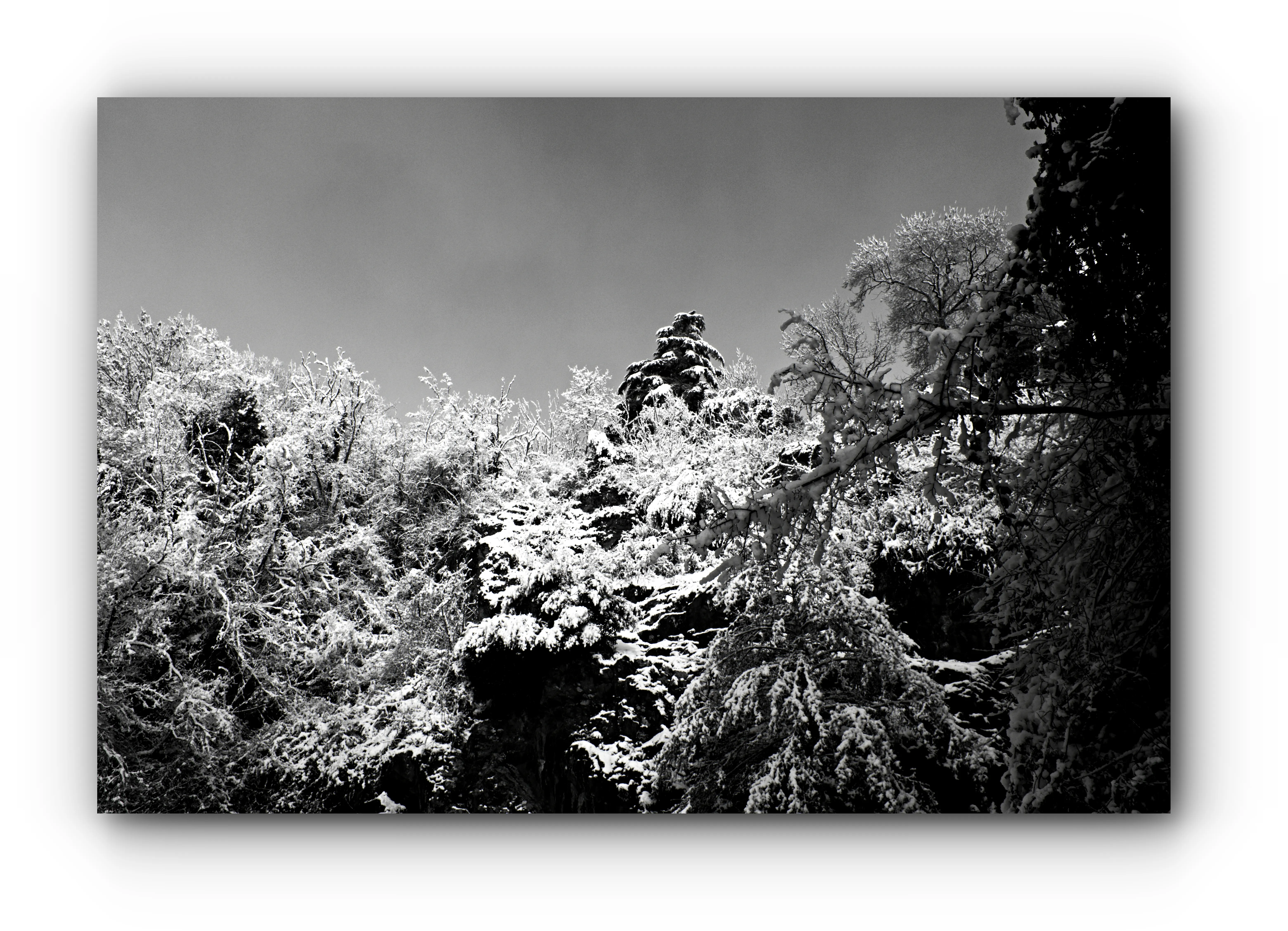 Premier froid - Didier Dalcantara